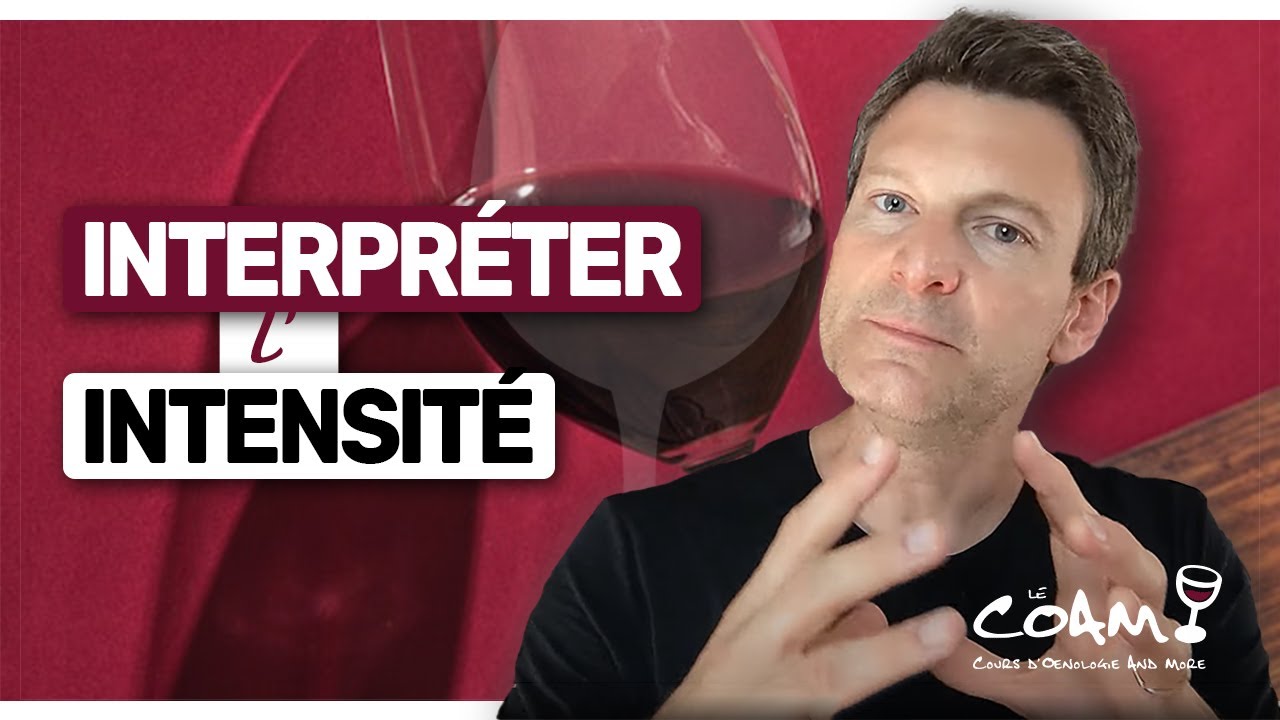 Comment Interpr&eacute;ter l'INTENSIT&Eacute; des VINS (rouge p&acirc;le ou fonc&eacute;)
