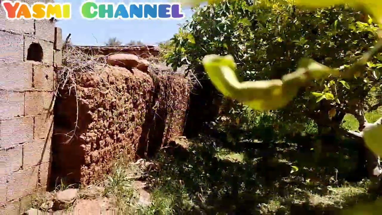 يوم في البادية عند جدتي الغالية 🌿🍊🍋🌶️شوفوا شنو وجدات لصباح العيد🤔جزء التاني