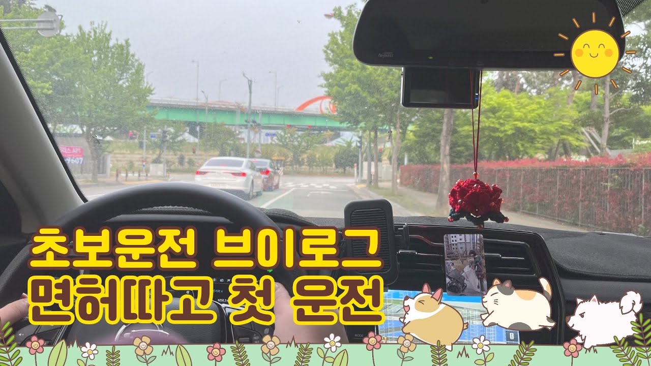 초보운전 브이로그 | 금요일에 면허증 발급받고 토요일에 도로나가는 핵초보 | 부산 한바퀴 돌고오기