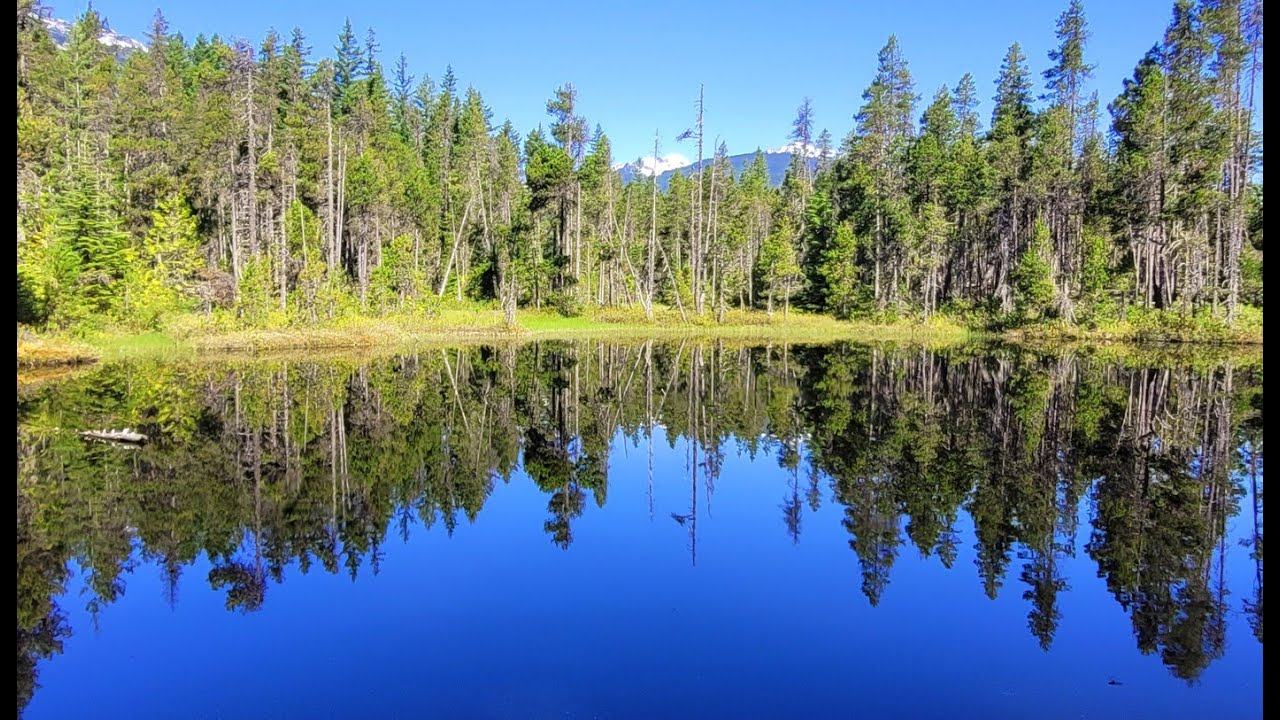 Flower Extravaganza - Riding the Sea-to-Sky trail (Squamish to Whistler return)