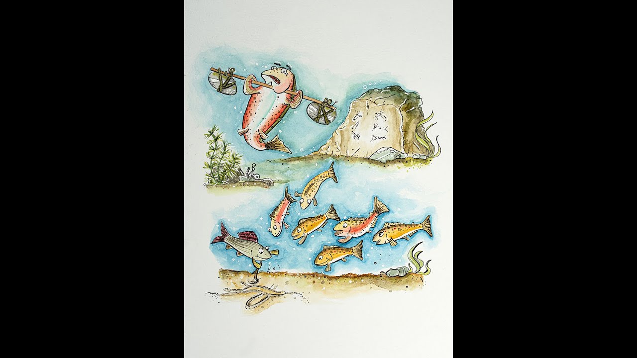 Fliegenfischen - Tagebuch einer Bachforelle // flyfishing - diary of a browntrout