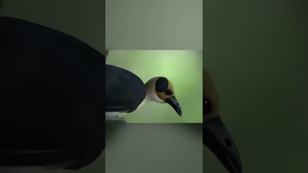 Love and teamwork Bird couple builds cozy nest for their growing family