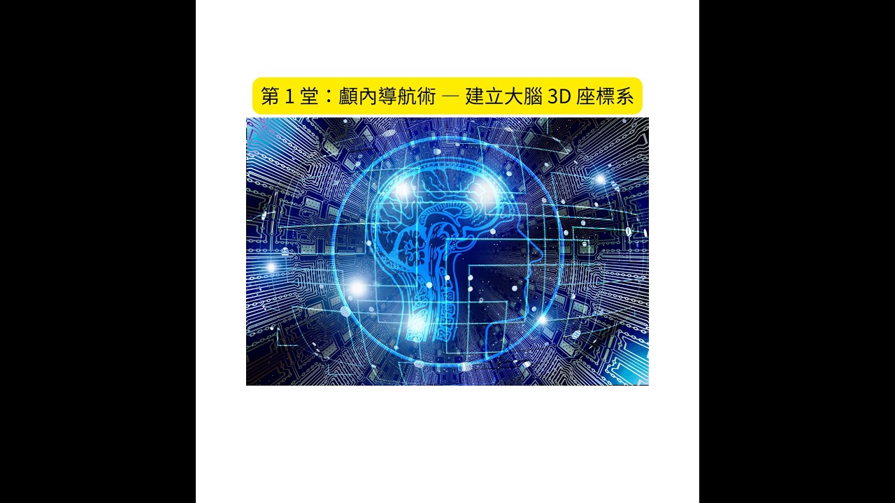 第 1 堂：顱內導航術 — 建立大腦 3D 座標系