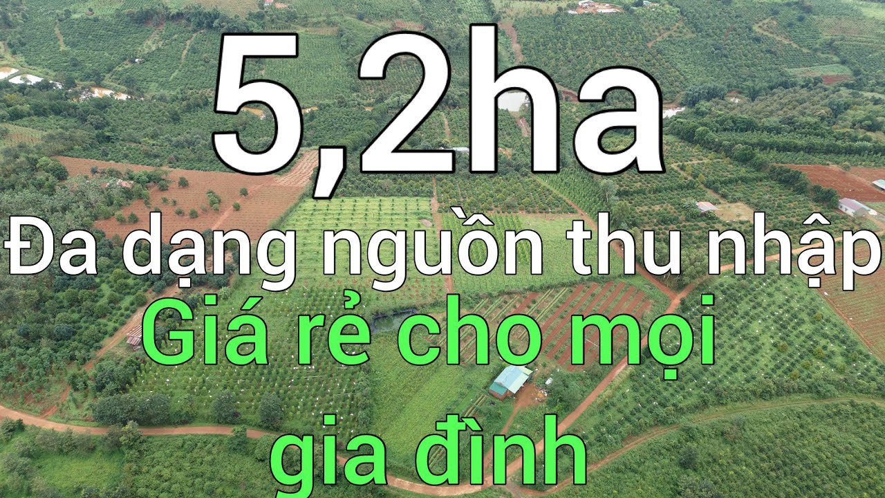 Quá đẹp cho siêu phẩm nhà vườn.sầu riêng,caffe.hồ tiêu.macka.giá rẻ cho mọi gđ