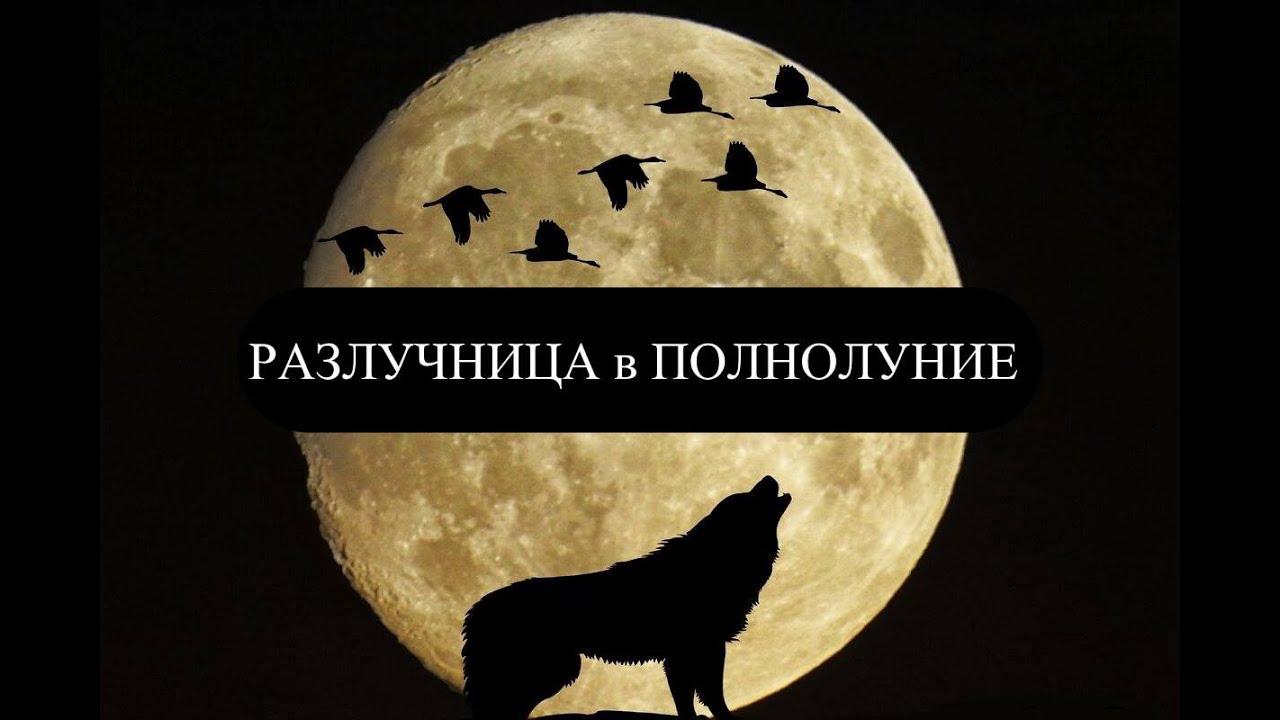 #разлучницавполнолуние#жаба#врагтаро#соперницатаро#бумерангсопернице#карма#соперница