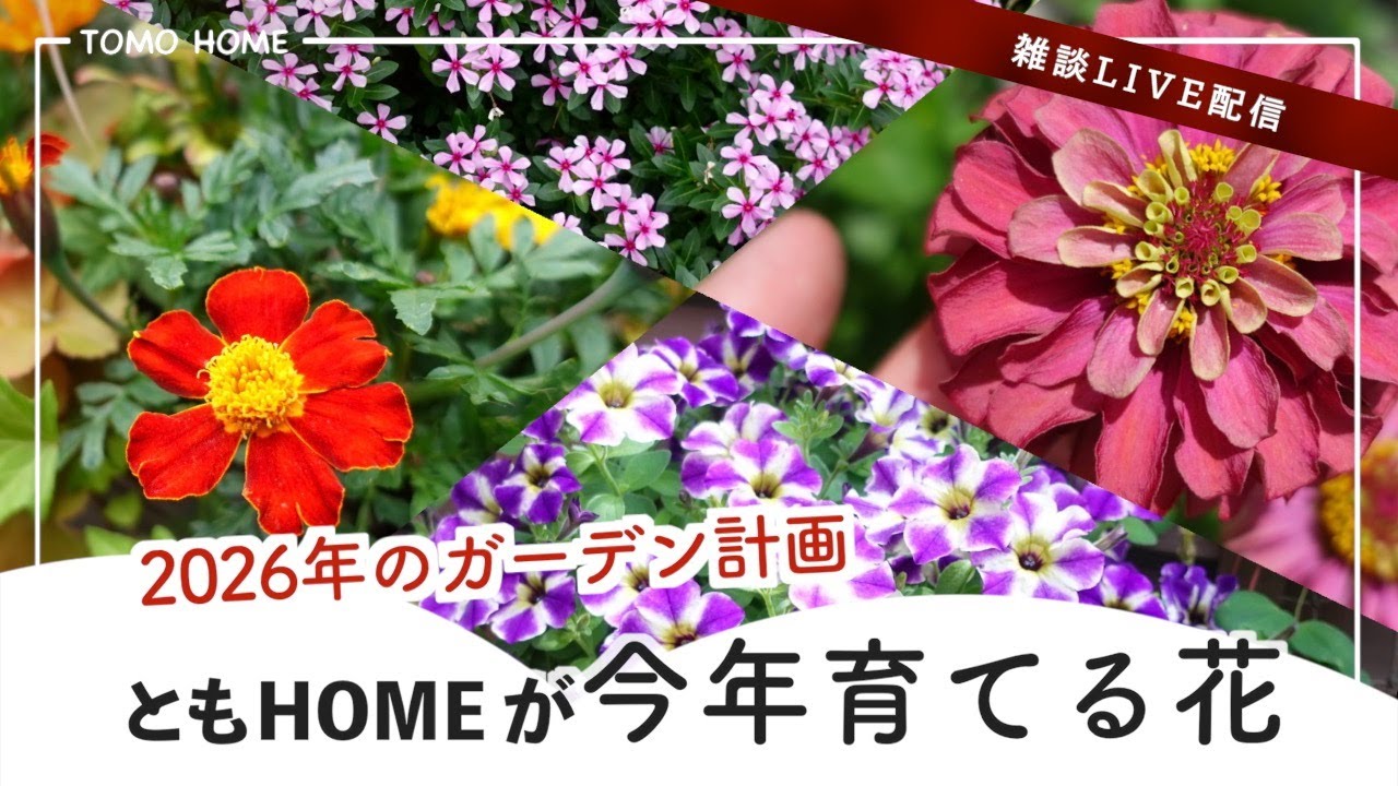 【1/30 21:30〜】2026年のガーデン計画・春から育てたい花をアレコレ話そう【生配信】
