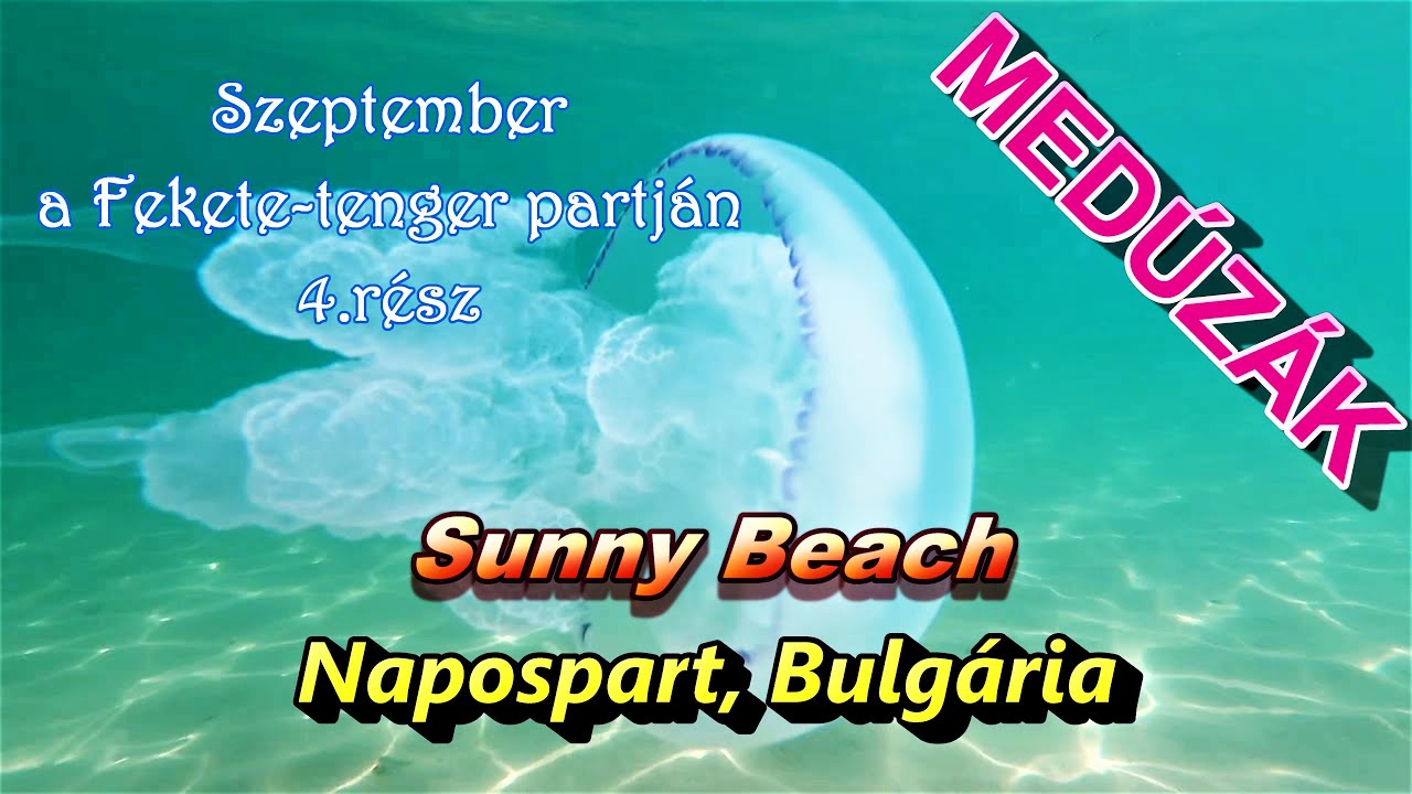 MED&Uacute;Z&Aacute;K a Napospart-on, Sunny beach | Neszeb&aacute;r, Bulg&aacute;ria