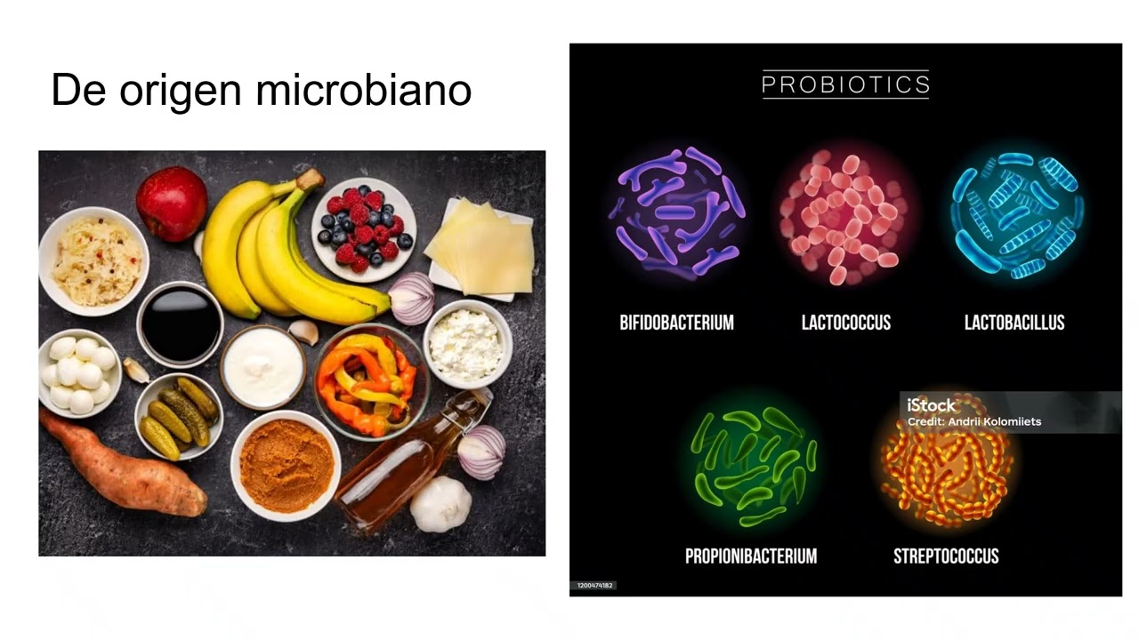 3  Alimentos funcionales