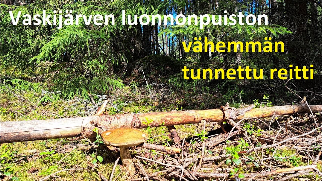 Pyhä tie halki Vaskijärven luonnonpuiston