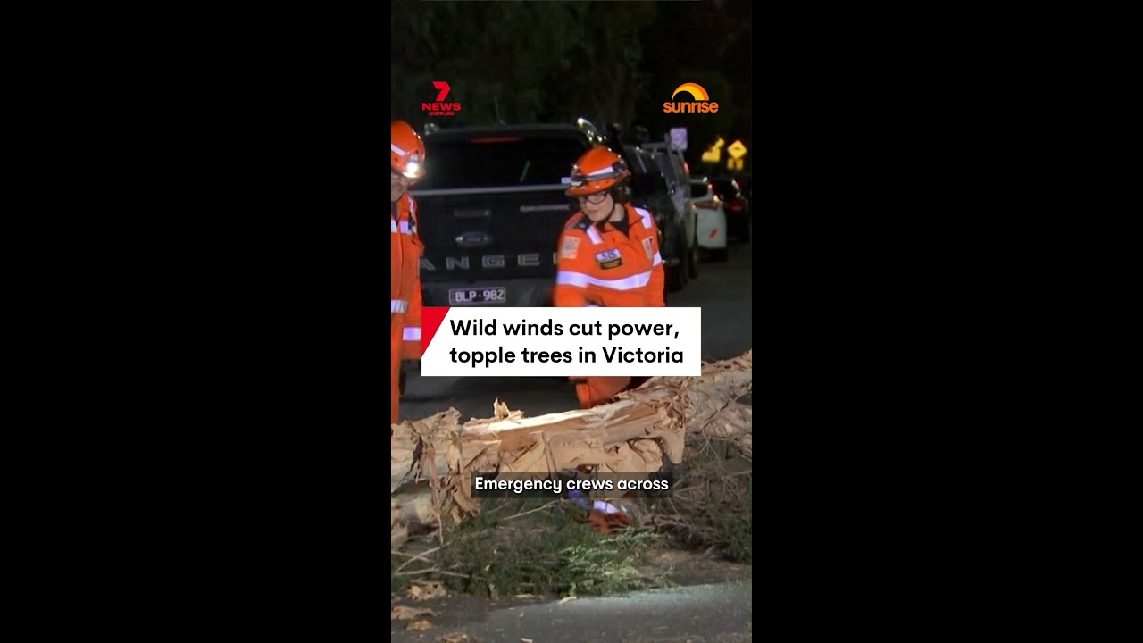 Wild winds cut power, topple trees in Victoria