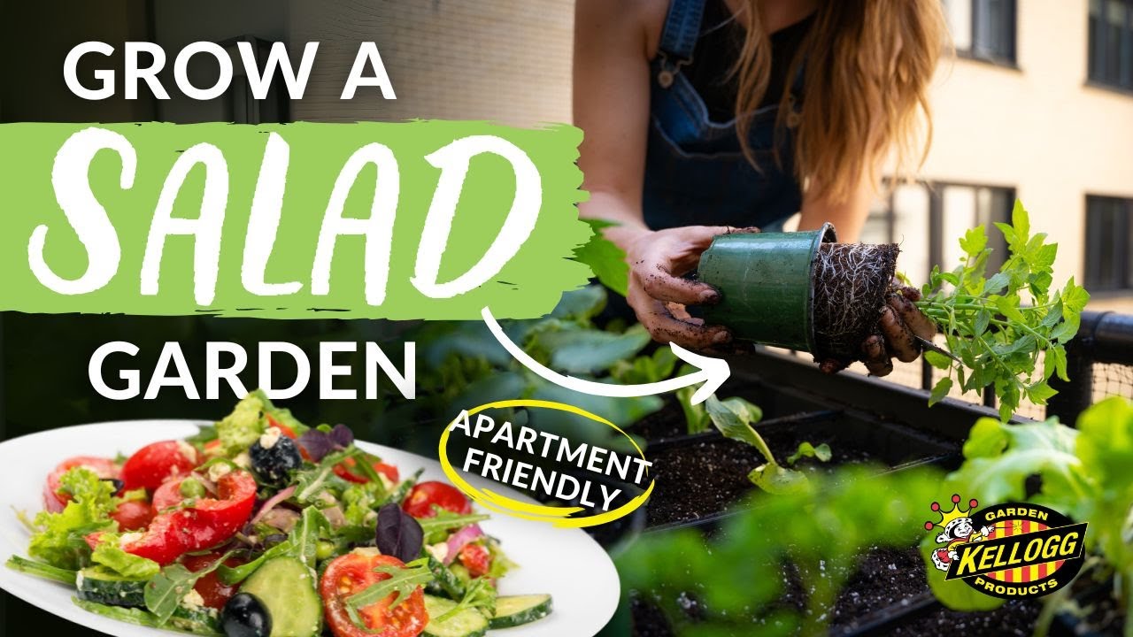 Grow a Salad Garden on Your Balcony | Easy Raised Bed Gardening for Beginners