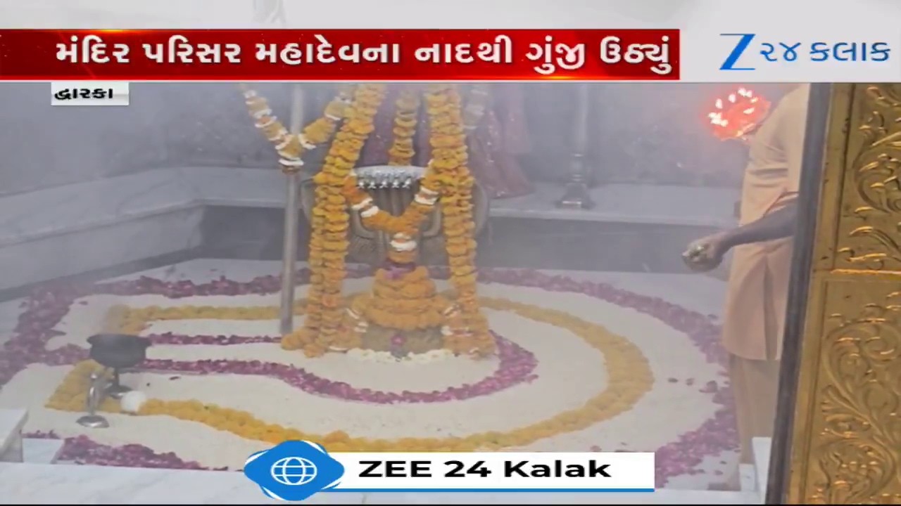 Dwarka: નાગેશ્વર જ્યોતિર્લિંગમાં શ્રદ્ધાનો સંગમ, મહાશિવરાત્રિએ નાગનાથના દર્શને ઉમટ્યું માનવ મહેરામણ