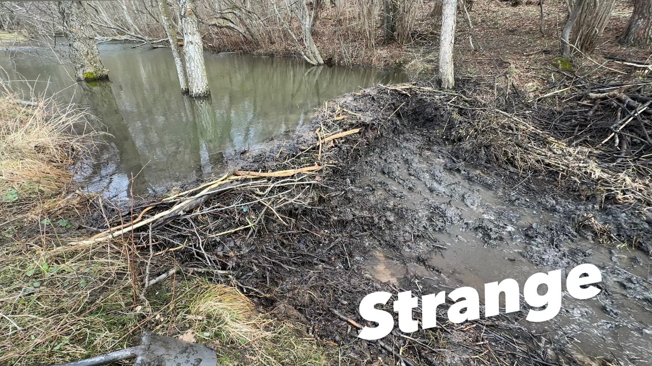 Dams From The Sides? Never seen That!