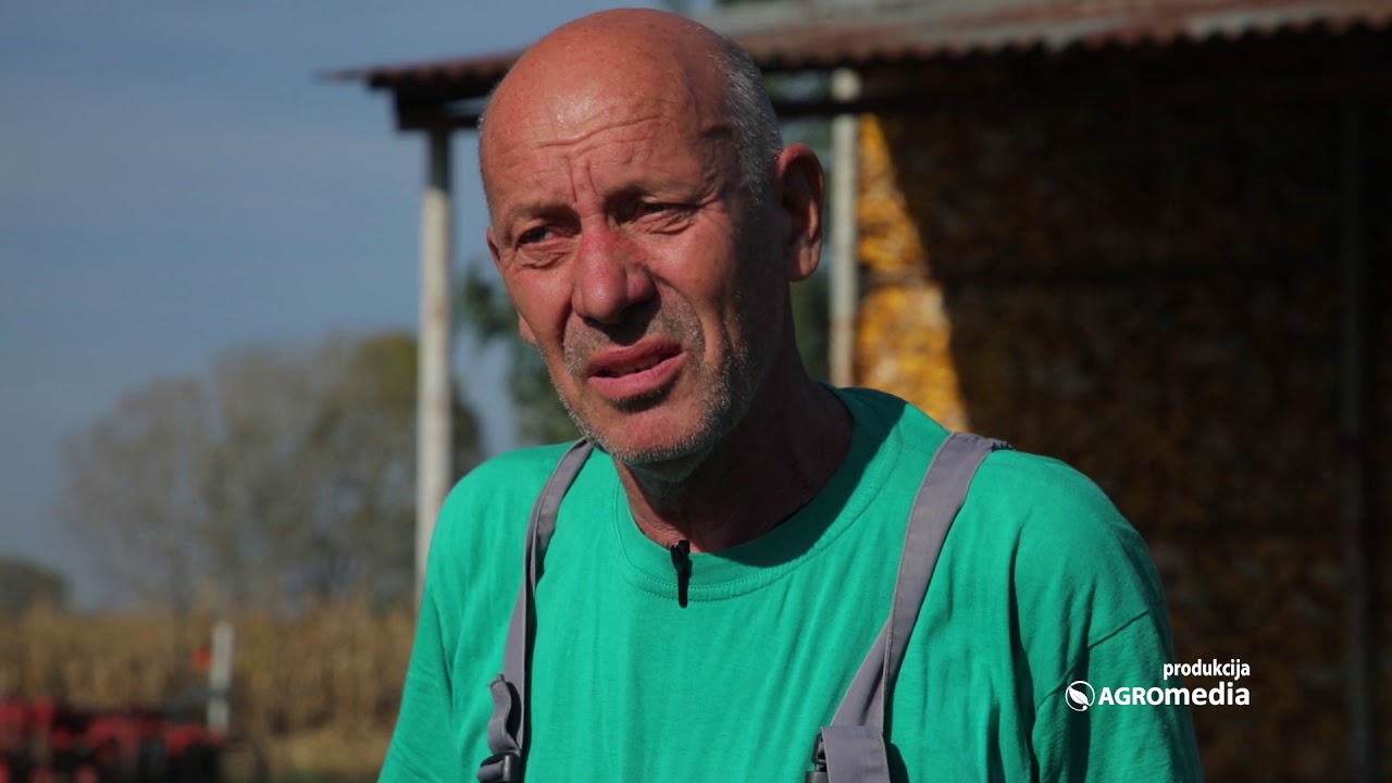 Uzgoj Il de Frans Rase Ovaca - ISPLATIVO i Sigurno Zanimanje