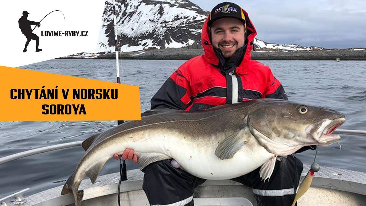Chytání v Norsku - Soroya