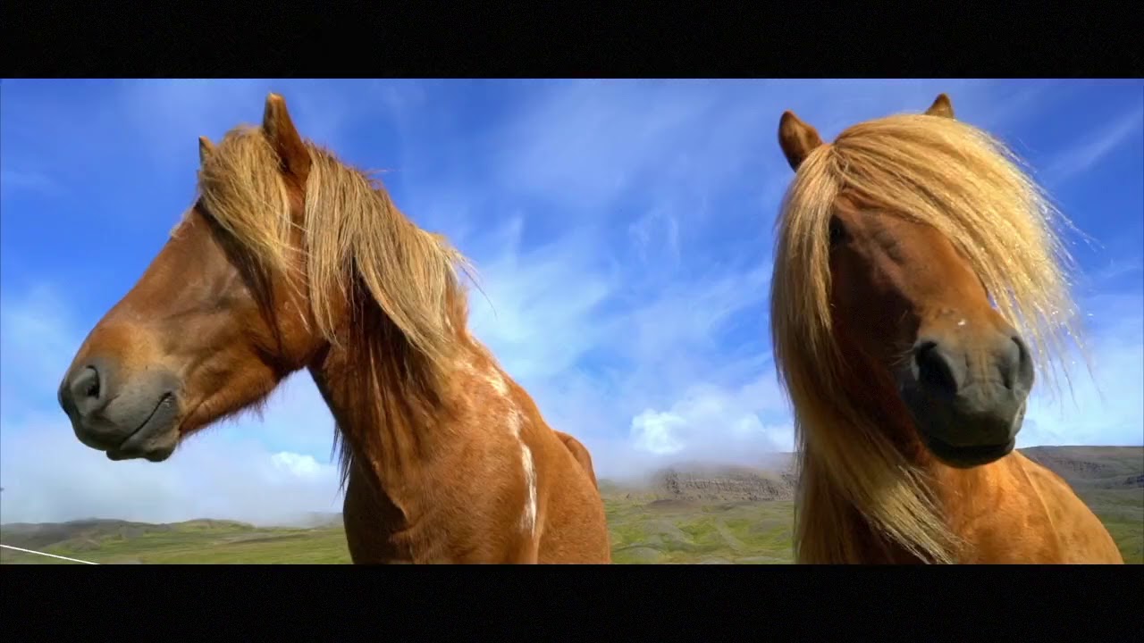 Sigur Rós - Sæglópur