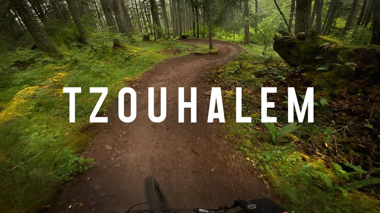 Tzouhalem Flow in the Fog