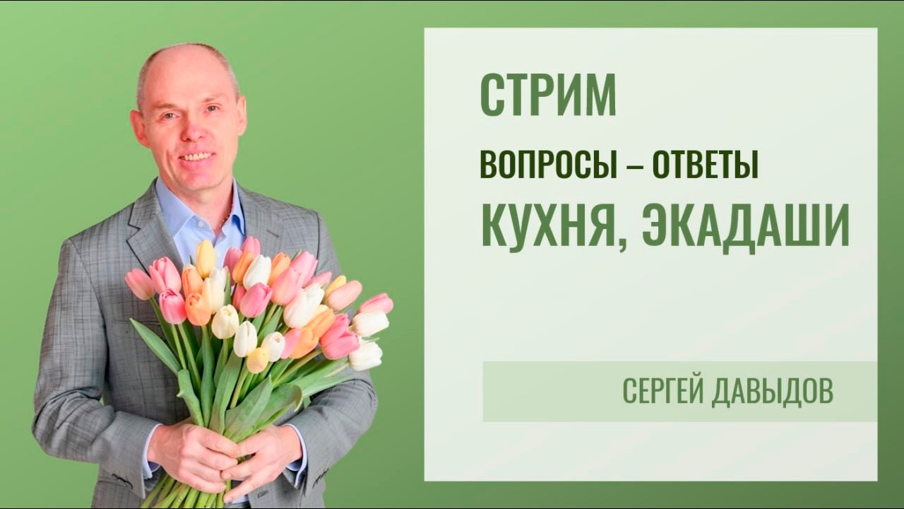 Васту - кухня. Стрим Серегя Давыдова