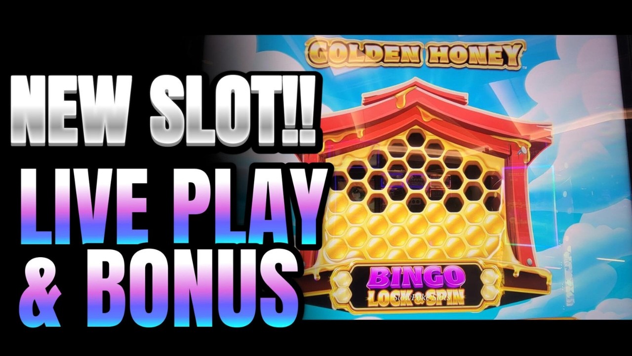 New!! GOLDEN HONEY BINGO LOCK & SPIN Live Play Bonus