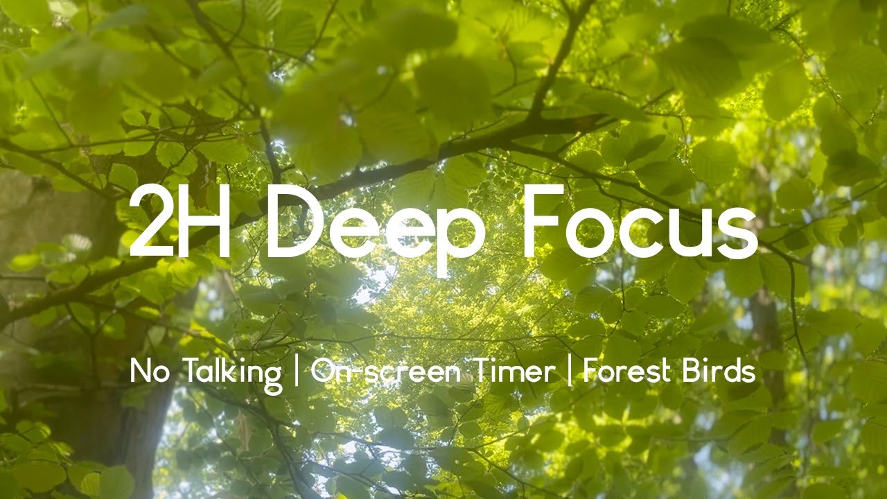 Forest Birds in Spring – 2H Focus Session With Nature Sounds For Deep Work