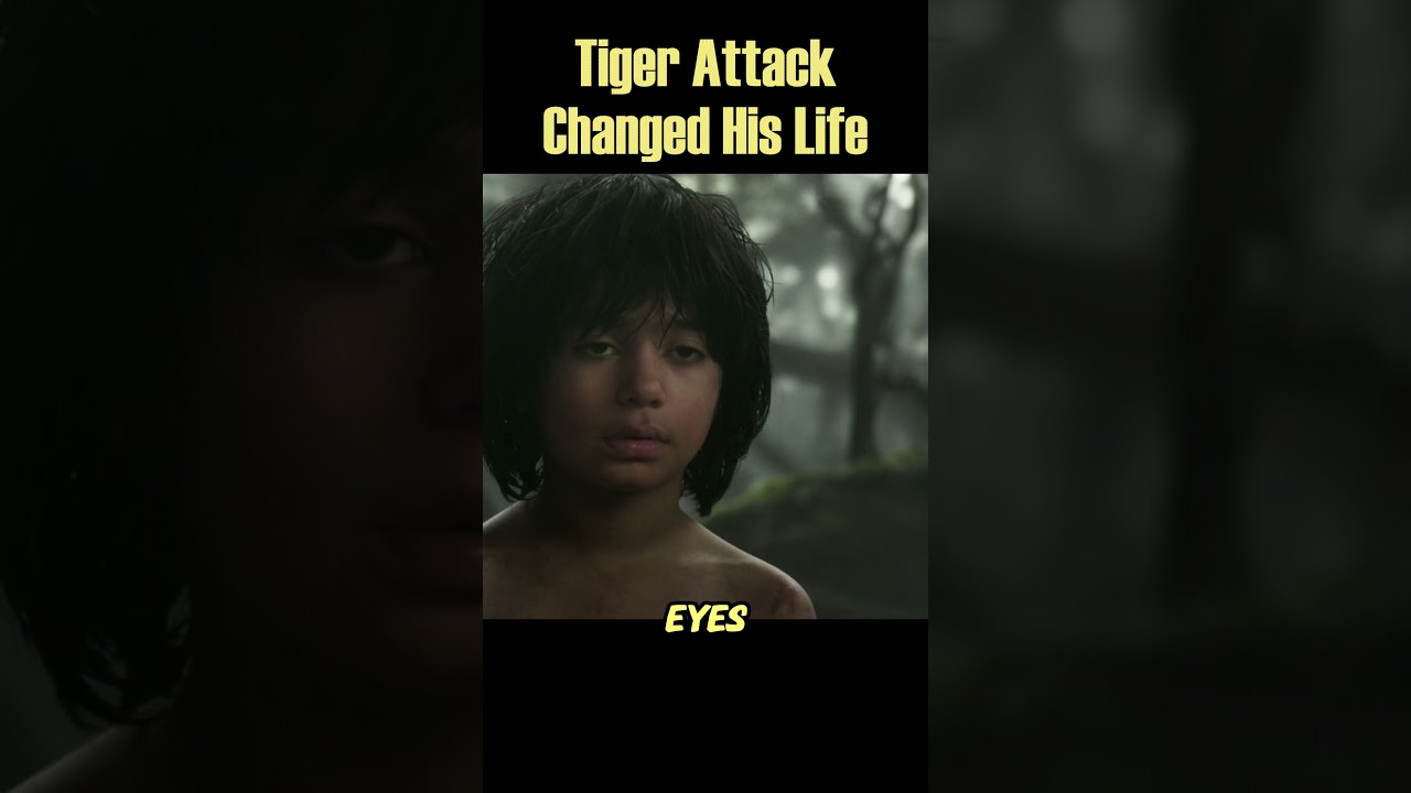 Tiger Attack That Changed Everything 🐅🔥 
