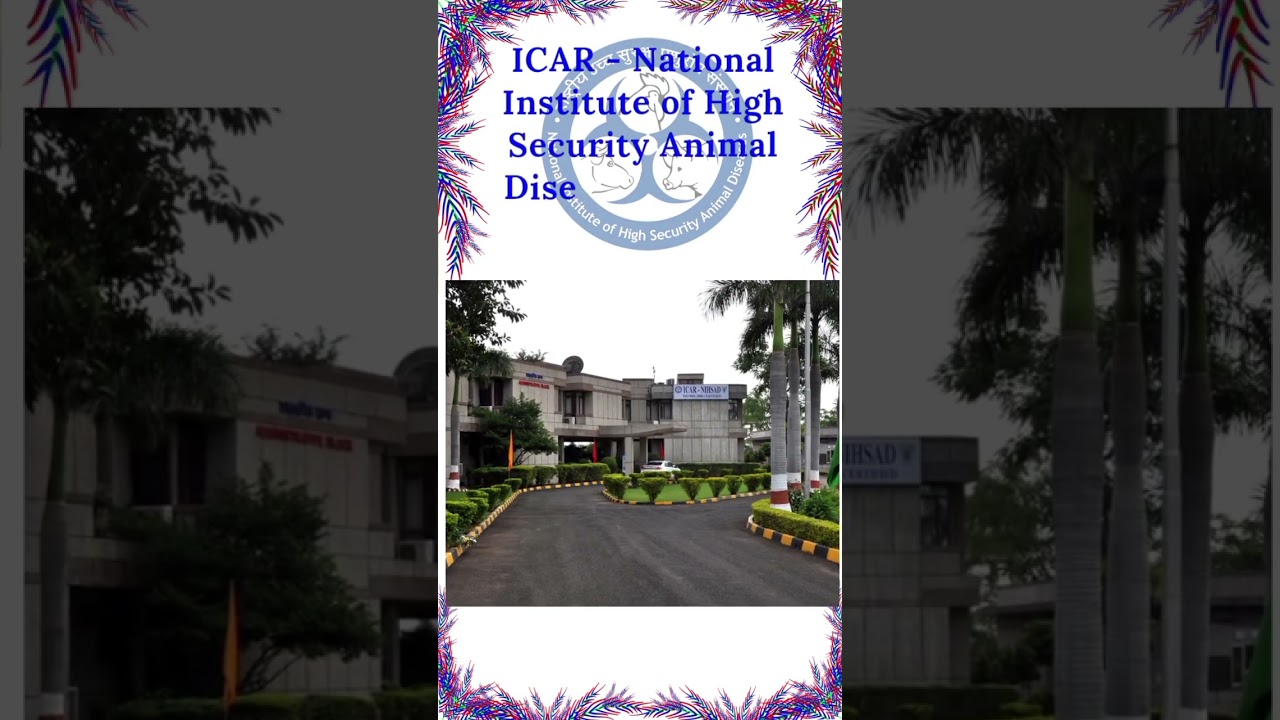 ICAR - National Institute of High Security Animal Diseases, Bhopal Madhya Pradesh. NIHSAD । Animal.