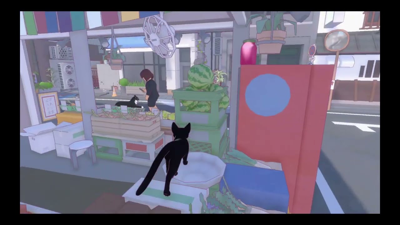 little kitty big city long play