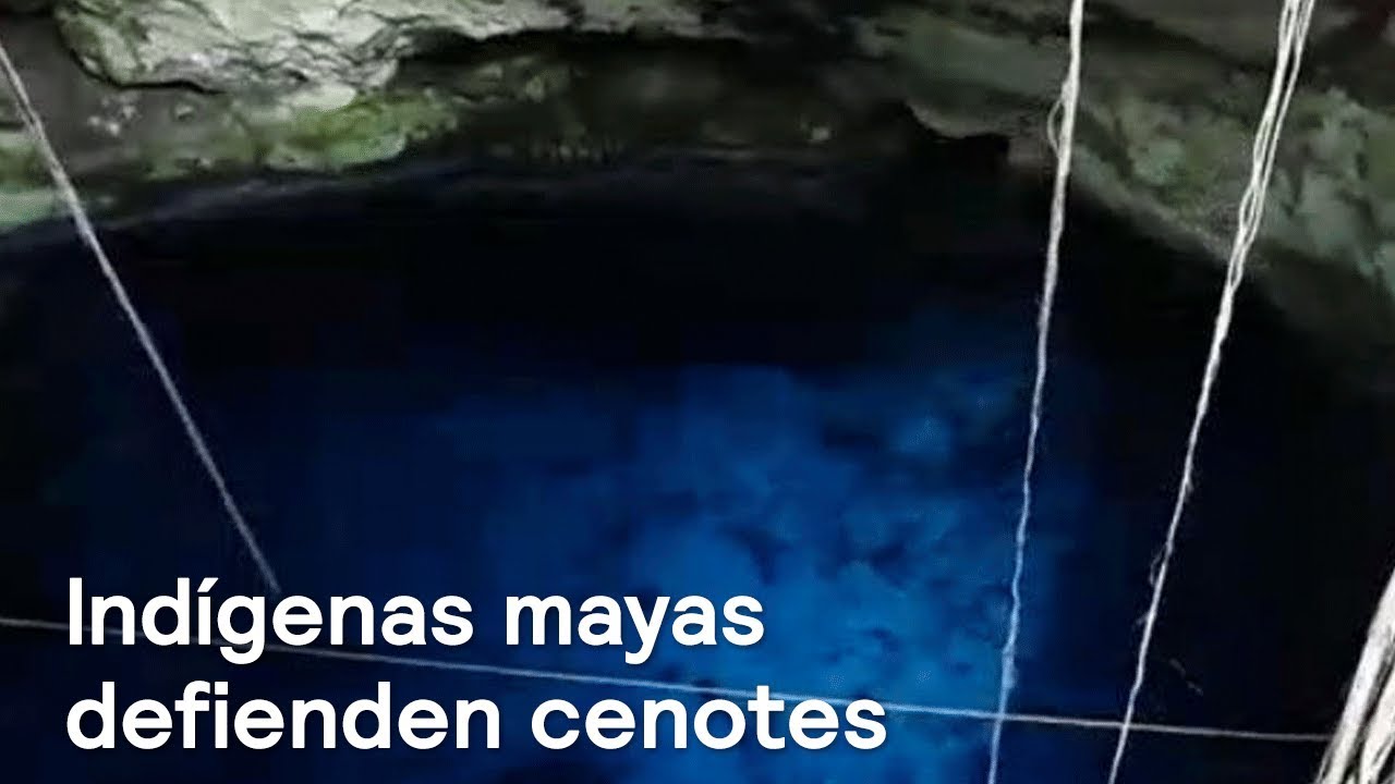 Indígenas mayas rechazan criadero de cerdos cerca de cenotes - Despierta con Loret