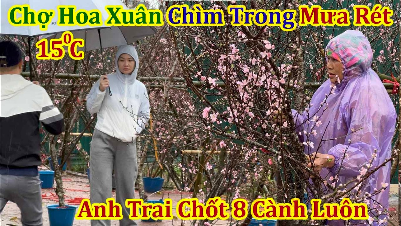 Chị Gái Dân Tộc Sướng Rơi Nước Mắt Được Anh Trai Chốt 8 Cành Đào Sáng Mưa Rét Bao Phủ Chợ Hoa Xuân