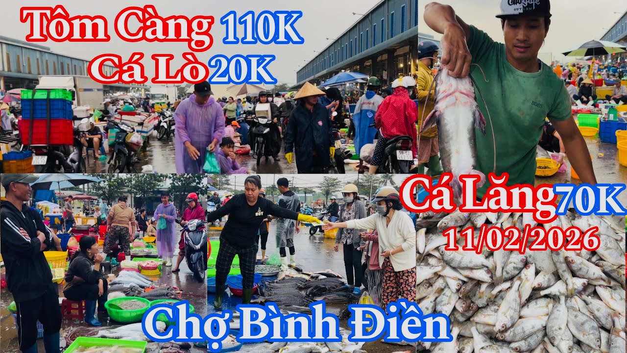 Chợ Bình Điền Sáng Thứ 4 - Cá Lò 20K, Tôm Càng 110K, Cá Lăng 70K, Cá Sủ 75K | 11/02/2026 