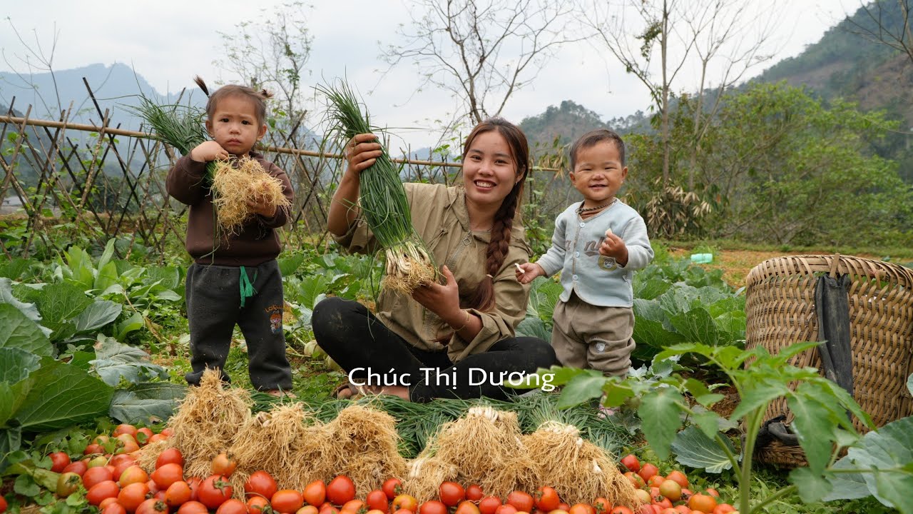 Harvesting green onions and tomatoes to sell at the market - cooking porridge for the children