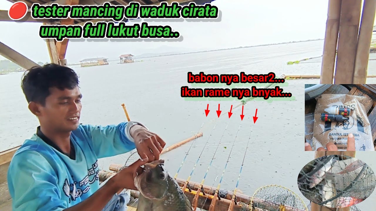 🔴 Mancing Cirata terbaru//umpan full lukut.. Babon nya besar2.. Ikan rame nya banyak... 