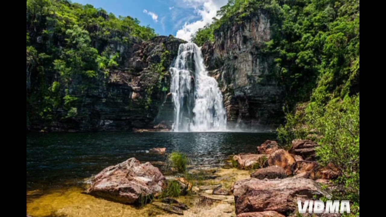 Som de cachoeira para relaxar e pássaros #relaxar #passaros #vida #shorts #short #youtube#humor#amor