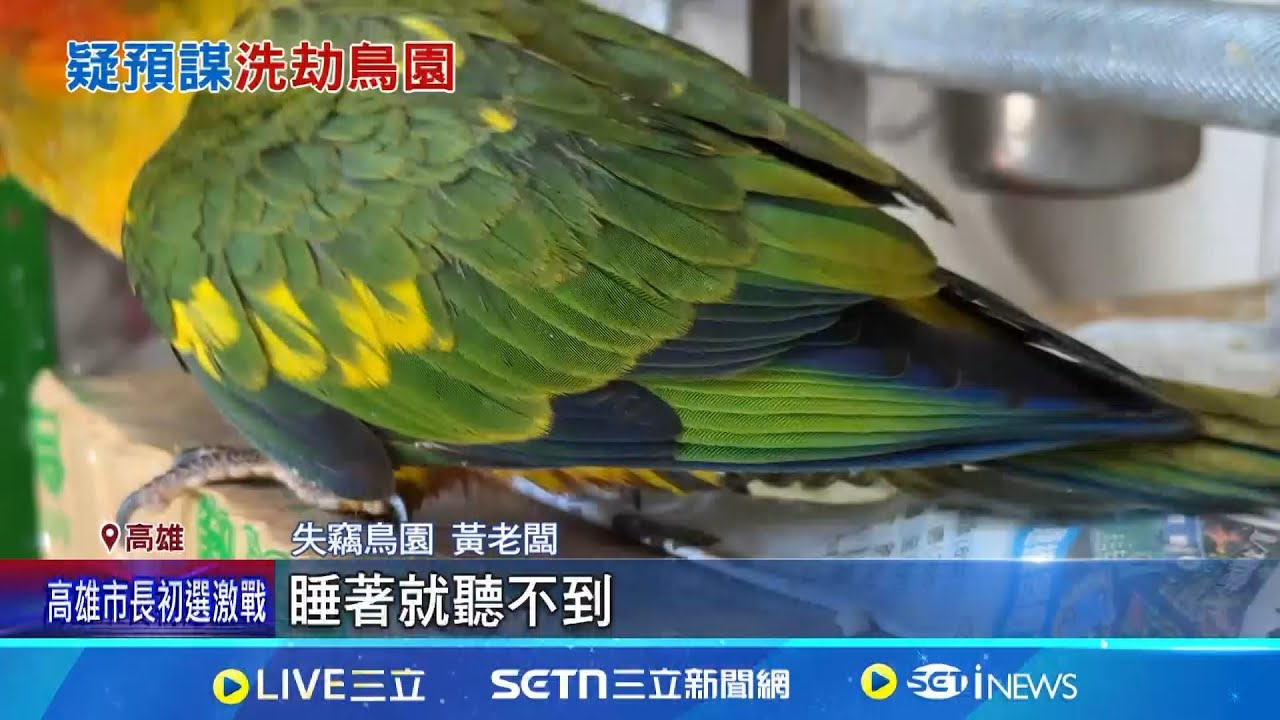 2賊狂偷12隻鸚鵡! 鳳山鳥園損失17.8萬 2賊偷鸚鵡鳥園損失近18萬 警:追緝中 │記者 連冠智 吳繢杉 │新聞一把抓20250625│三立新聞台