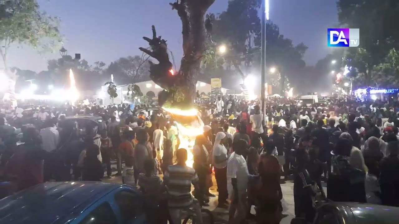 Can- brillante victoire des lions face à l'Égypte: les Thiessois prennent d'assaut la place de