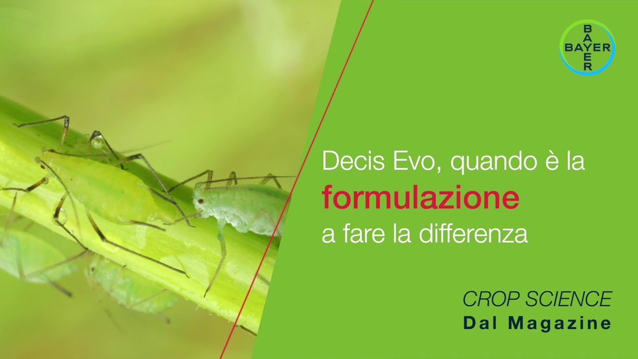 Dal Magazine - Decis Evo, quando è la formulazione a fare la differenza