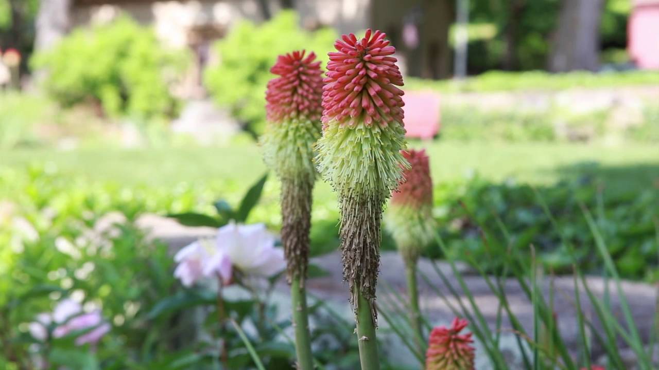 The Gardens of Historic Roscoe Village