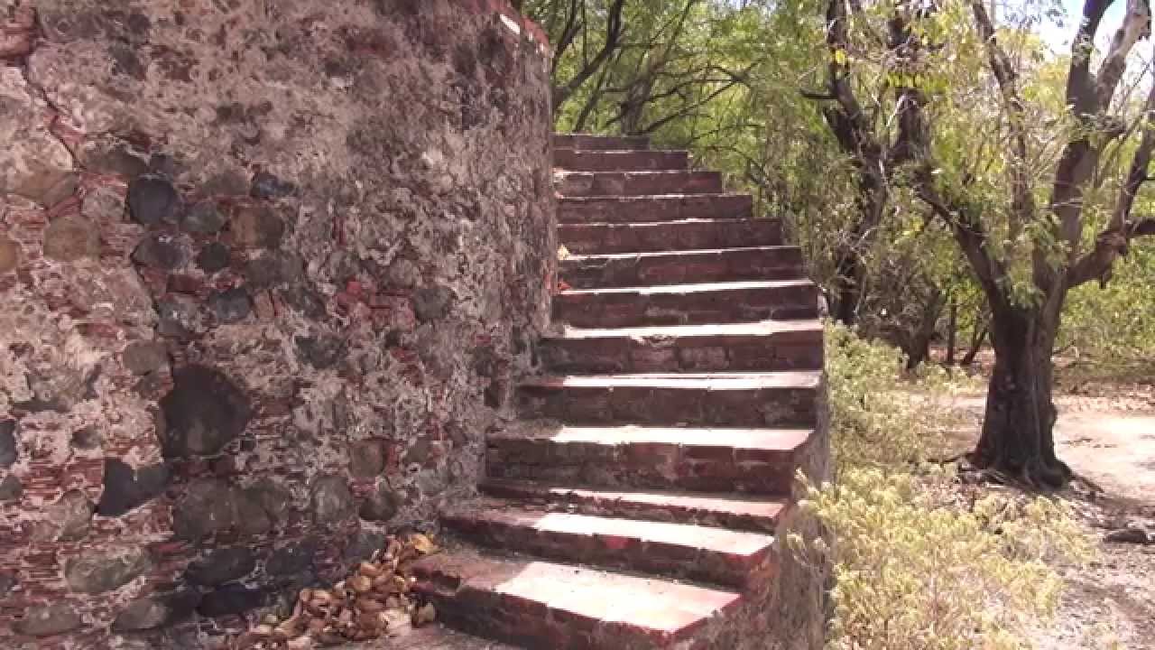 Martinique : les iguanes de l'Ilet Chancel