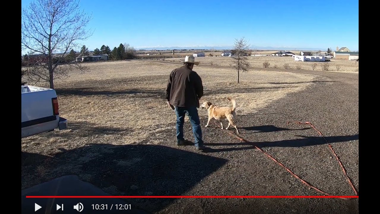 The Dos and Don'ts of Retrieving