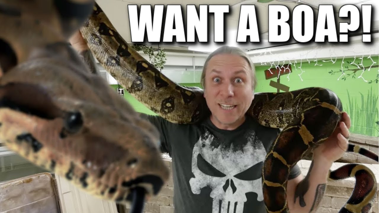 I WANT A BOA CONSTRICTOR!! NOW WHAT??| BRIAN BARCZYK