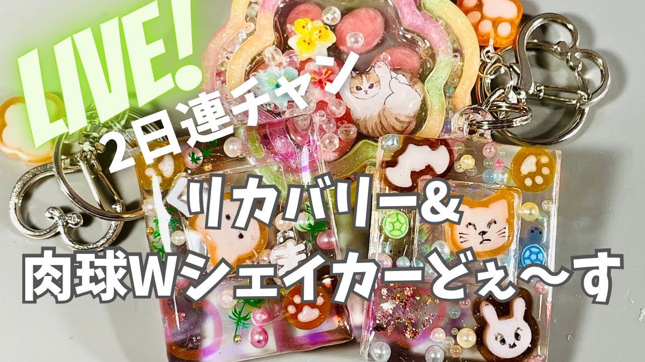 〈レジン〉リカバリー&肉球仕上げようか