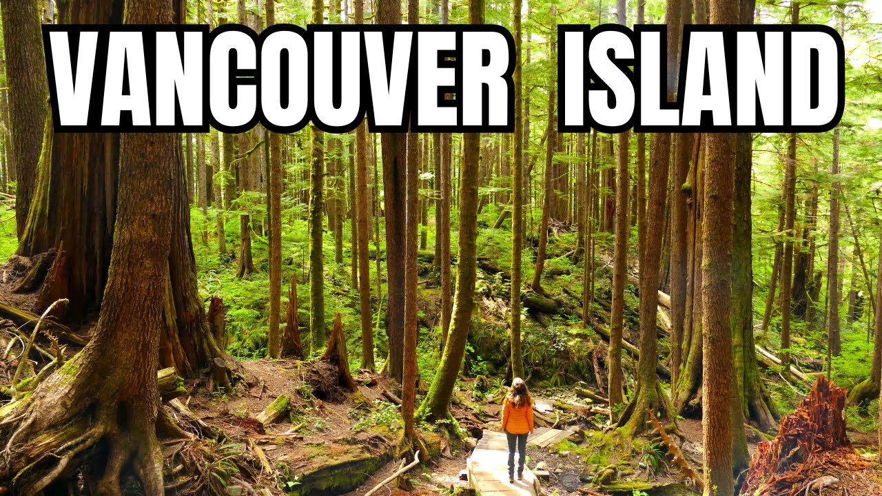 LUGAR MÁGICO en la ISLA de VANCOUVER🇨🇦 EMBARCAMOS LA FURGONETA EN EL FERRY 🚐 EXPLORAMOS LAS PLAYAS🌲