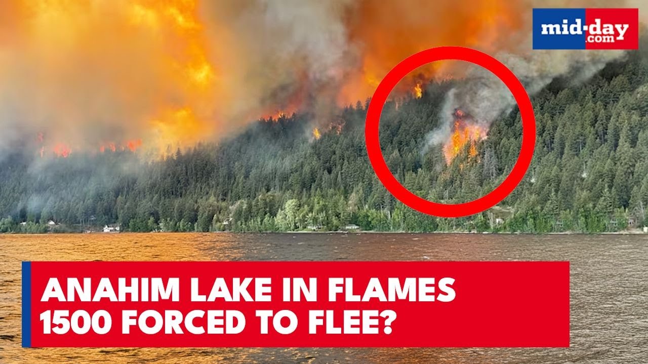 British Columbia Wildfires FORCE Mass Evacuation | Anahim Lake Residents Flee As Flames Advance