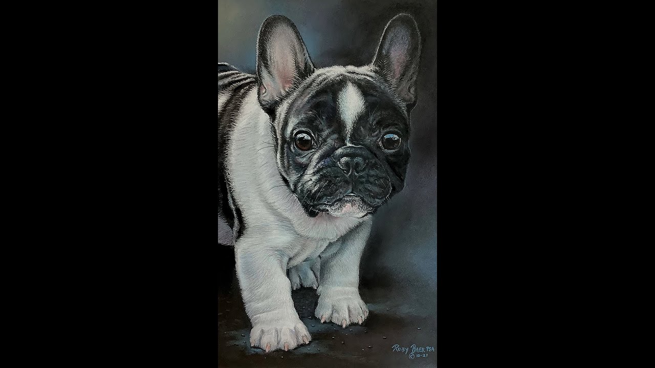 French Bulldog Pastel Demo