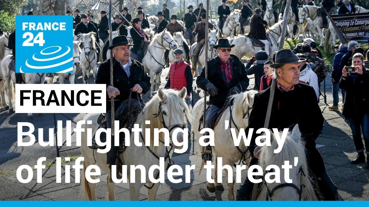 'The French way of life’: Thousands rally to defend bullfighting • FRANCE 24 English