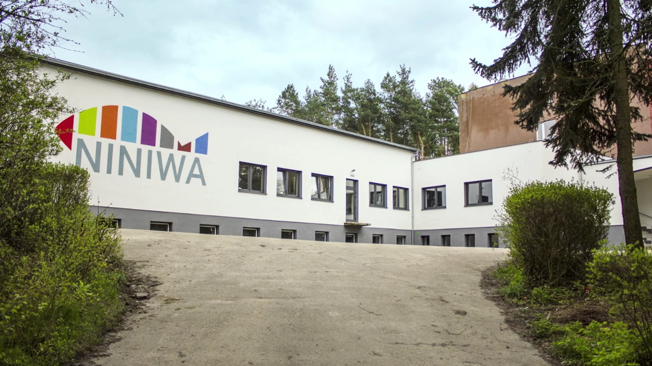 Rocznica powstania akcji NINIWA Bud!