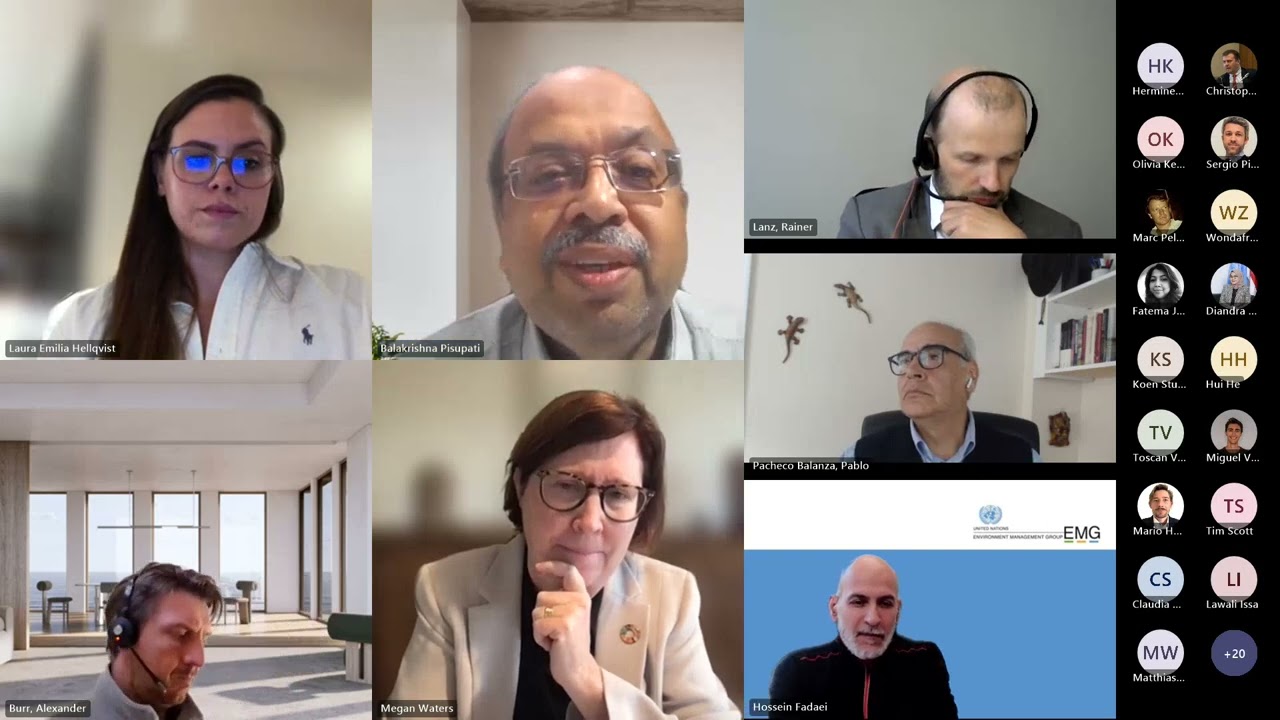 EMG Nexus Dialogue on Transforming Harmful Subsidies: Opportunities and Best Practices