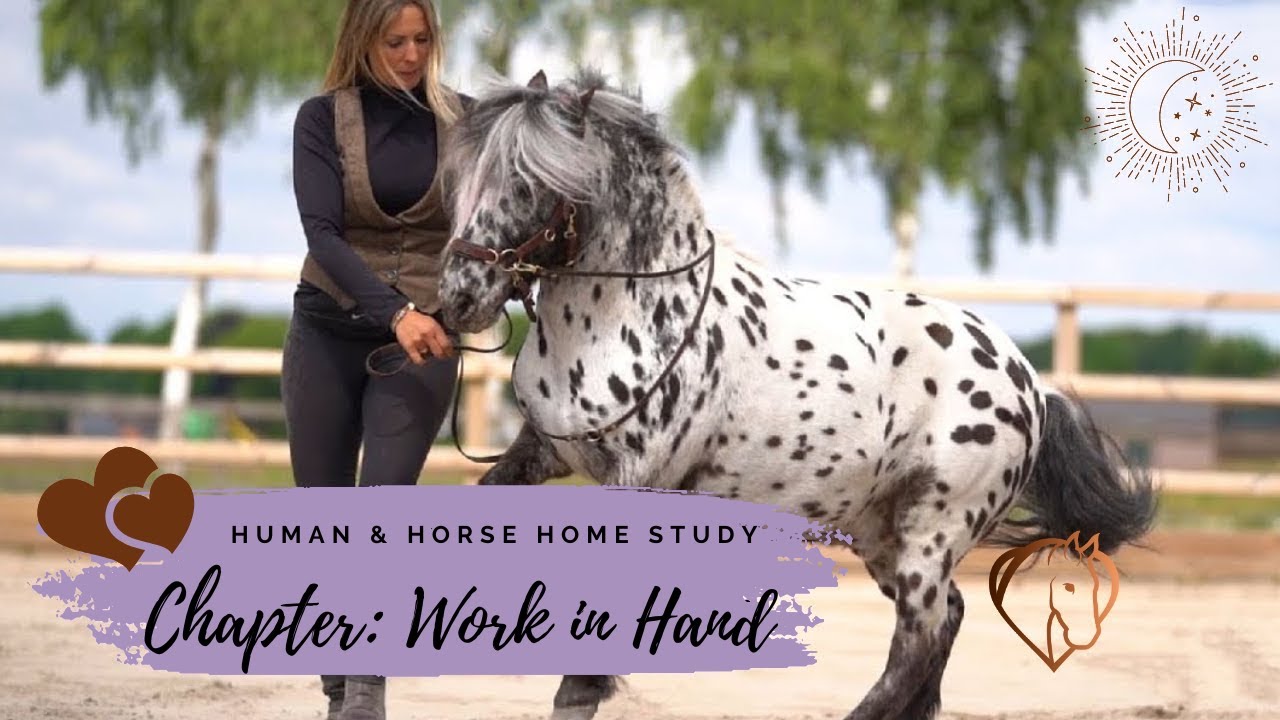 PREVIEW HUMAN & HORSE METHOD HOME STUDY; WORK IN HAND