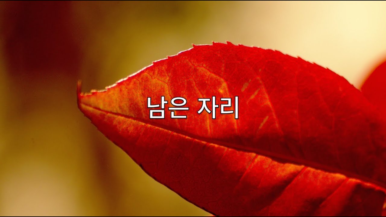 🌿 [감성 에세이] #295. 남은 자리