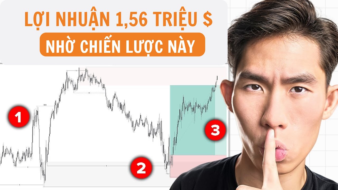 Lợi Nhuận 1,56 Triệu Đô trong năm 2025 - Từ Chiến Lược Này